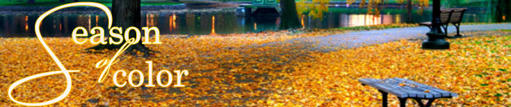Fall Harvest