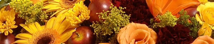 Thanksgiving