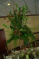 Scott Wedding