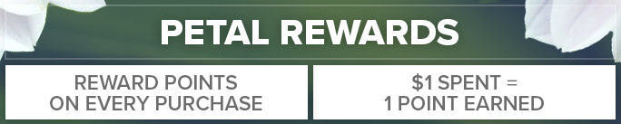 Rewards Program Information - Earn rewards for every dollar spent online.