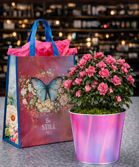 Azalea For Mothers Day