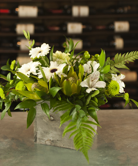 Botanical Bliss