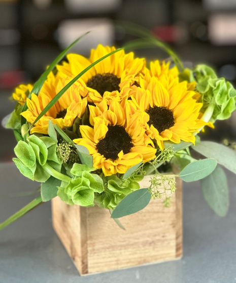 Golden Sunflower Skies