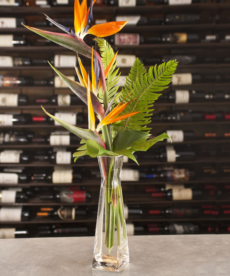 Birds Of Paradise Bud Vase