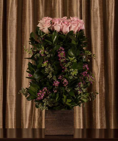Pink Rose Tribute Hedge
