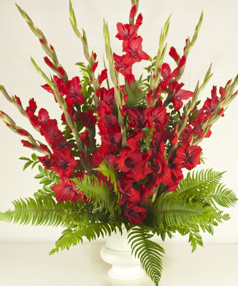 Solemn Offering In Red