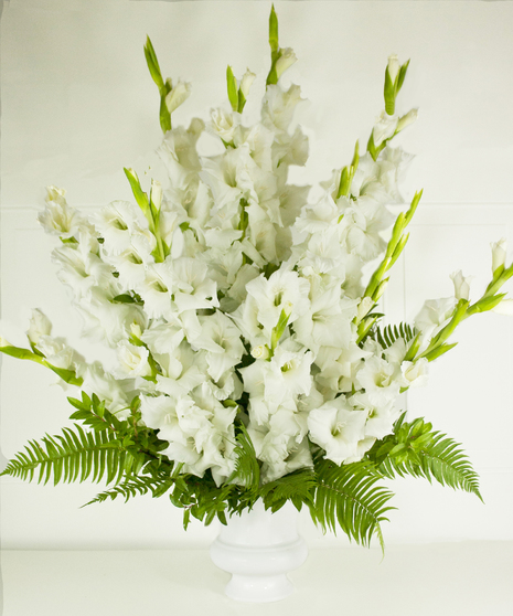 Solemn Offering In White