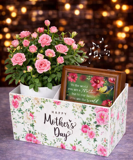 Sweet Music Box & Roses