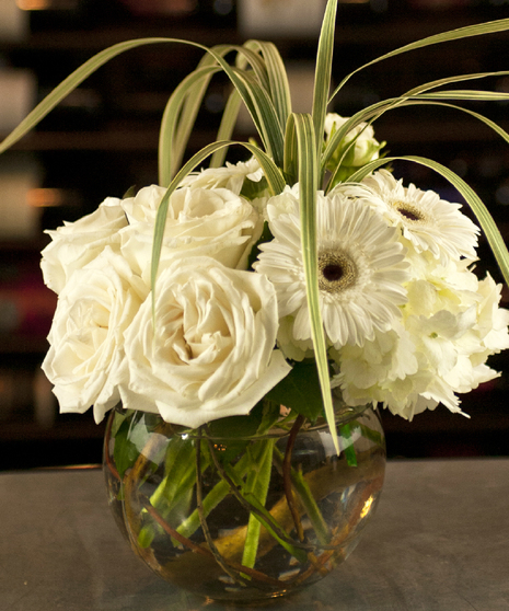 Timeless Whites
