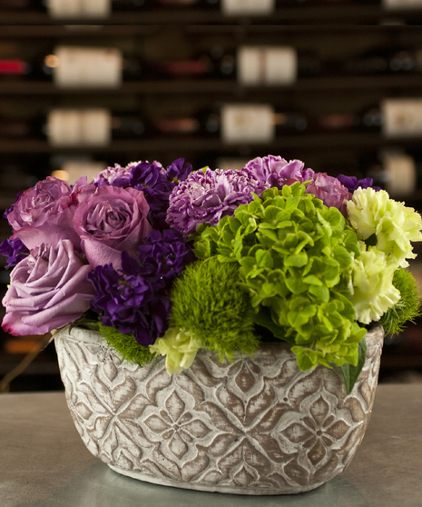 Violette