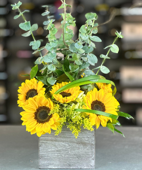 Rustic Radiance Sunflowers