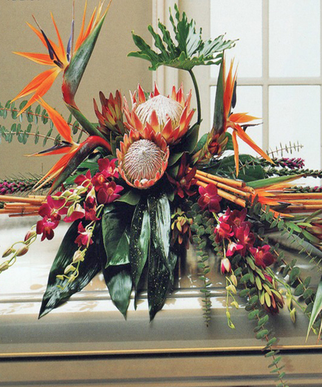 Tropical Splendor Spray