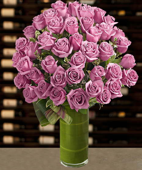 48 Luxury Lavender Roses