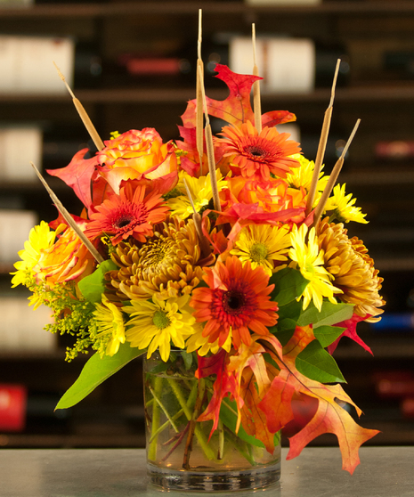 A Splash Of Autumn