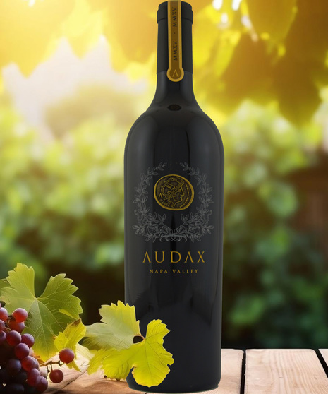 Audax MMXIII Cabernet Sauvignon