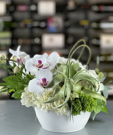 Botanical Elegance arrangement with white orchids, hydrangea, and air plants by a Columbus, Ohio florist.