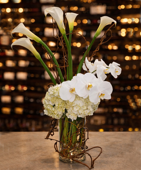 Calla La Orchid