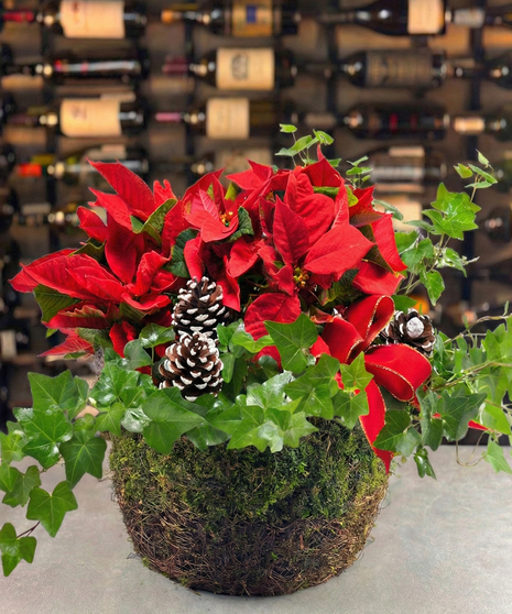 Poinsettia Planter Basket