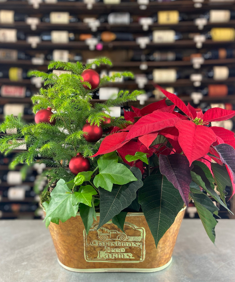  Christmas Tree Farm Planter Christmas Flowers Columbus Flower Shops