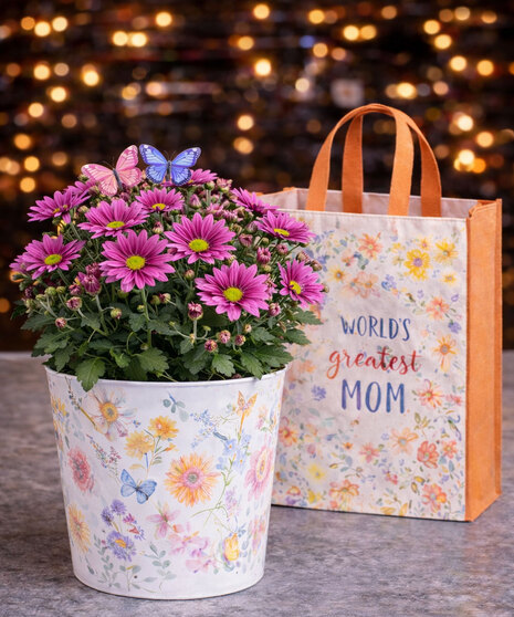 Daisy Planter For Mom