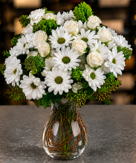 Daisy Delight