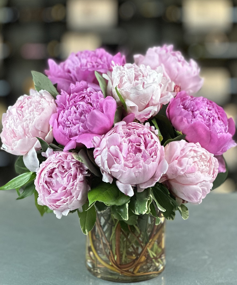 Peony Perfection – One Dozen