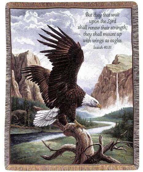 Eagles Wings Freedom Sympathy Throw