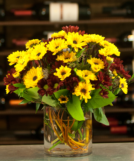 Falling For Daisies