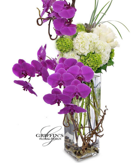 Fleur De Orchida