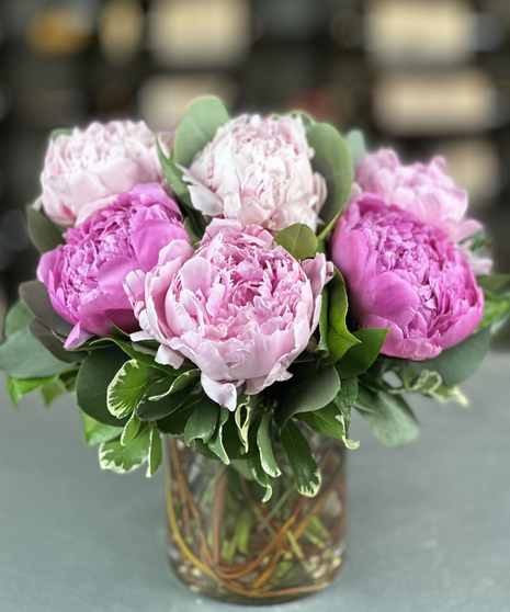 Blushing Peony Half-Dozen