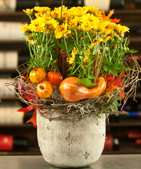 Harvest Mum Planter Chrysanthemum Plants Columbus Ohio Florists Newark Oh