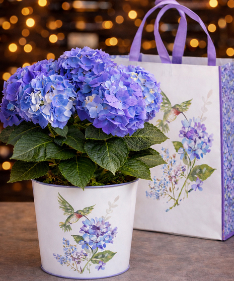 Mother's Day
