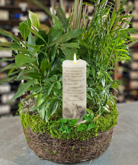 Candle Moss Garden