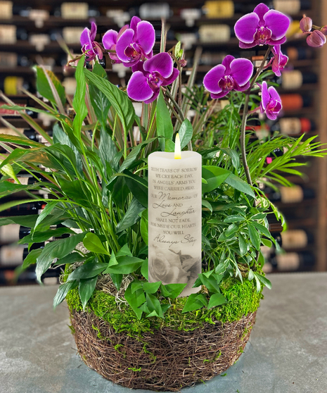 Candle & Orchid Moss Garden