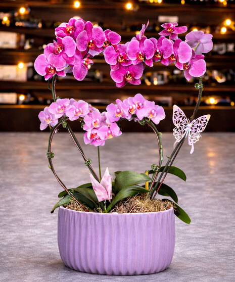 Double Heart Orchid Planter