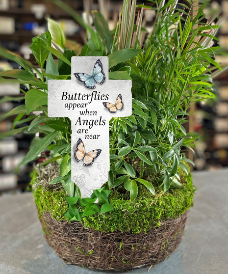 Butterflies And Angels  Moss Garden