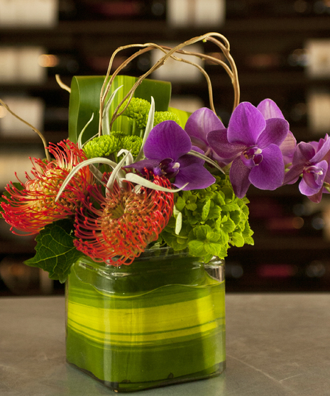 Orchid Bliss