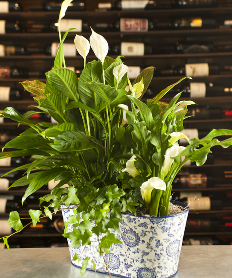 Paisley & Calla Columbus Oh Florists Newark Ohio Flowers
