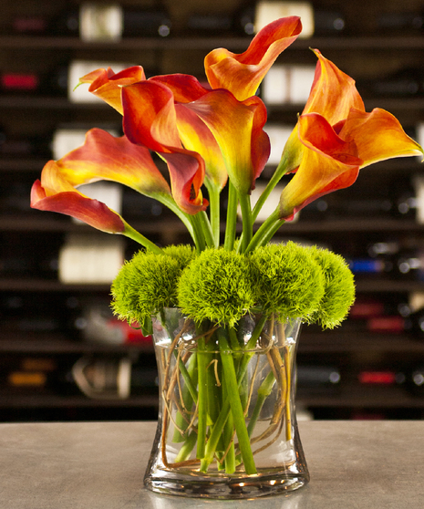 Radiant Calla Mango