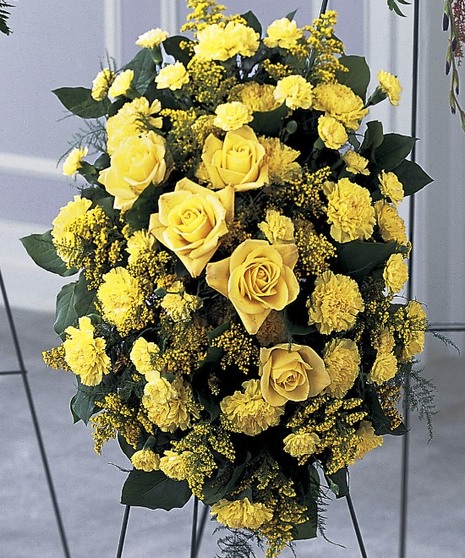 Yellow Beauty