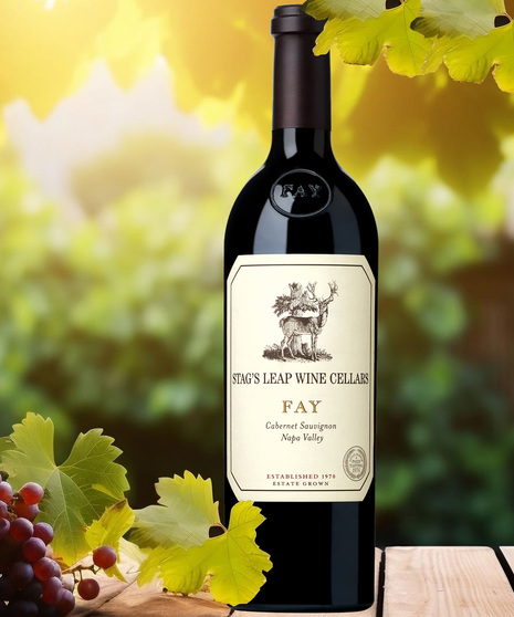 Stags Leap FAY Cabernet Sauvignon