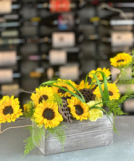 Sunflower Horizontal Drift
