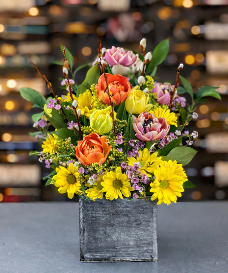 Sunlit-Spring-Cottage