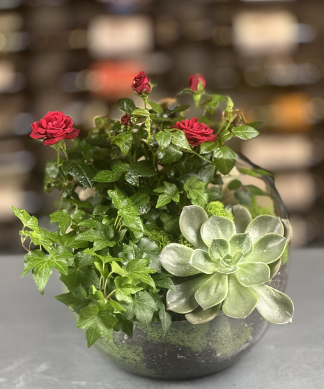 Timeless Rose Terrarium