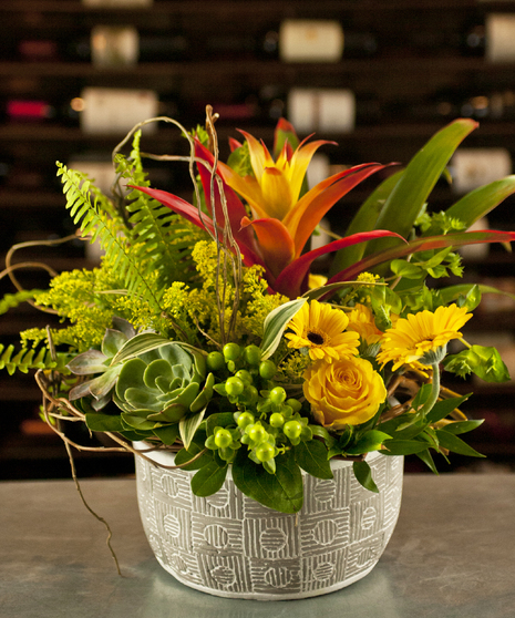 Tropical Forest Columbus Flowers Newark Ohio Griffins Floral Design