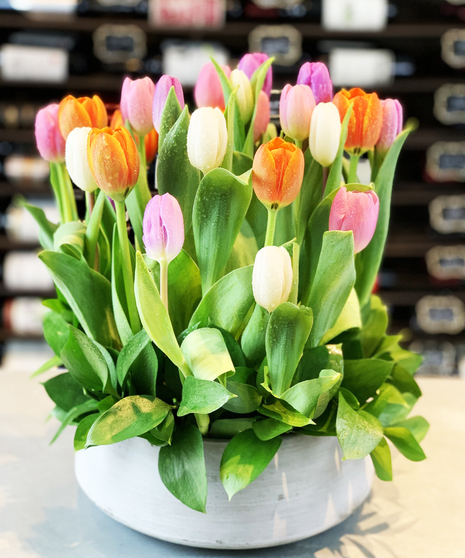 Tulip Pizzazz