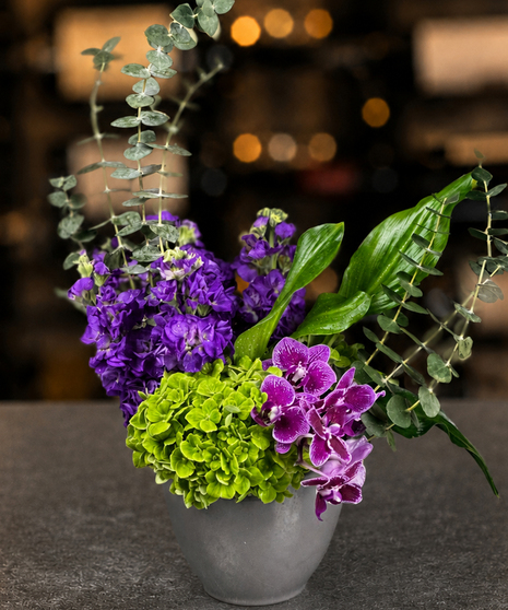 Contemporary orchid and hydrangea botanical arrangement in a Memphis vessel delivered in Columbus, Ohio.