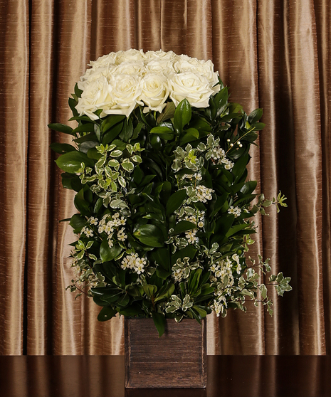 White Rose Hedge Sympathy Flowers Columbus Ohio