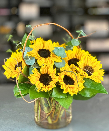 Willow Sunflower Garden