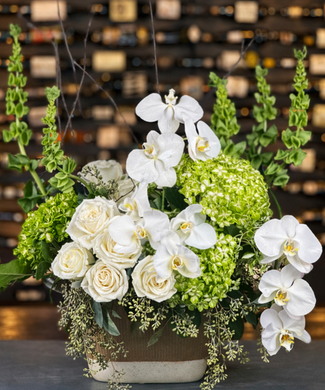 Wonders of Paradise Luxe